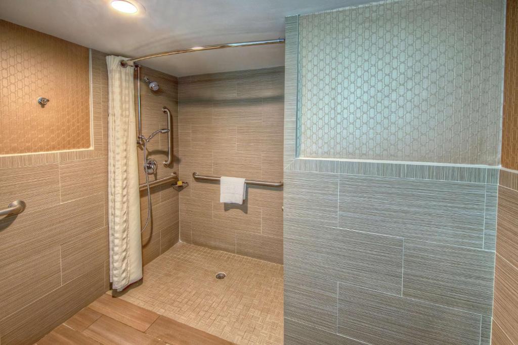 DoubleTree by Hilton Memphis - 带有滚动淋浴的国王室 - 残疾人