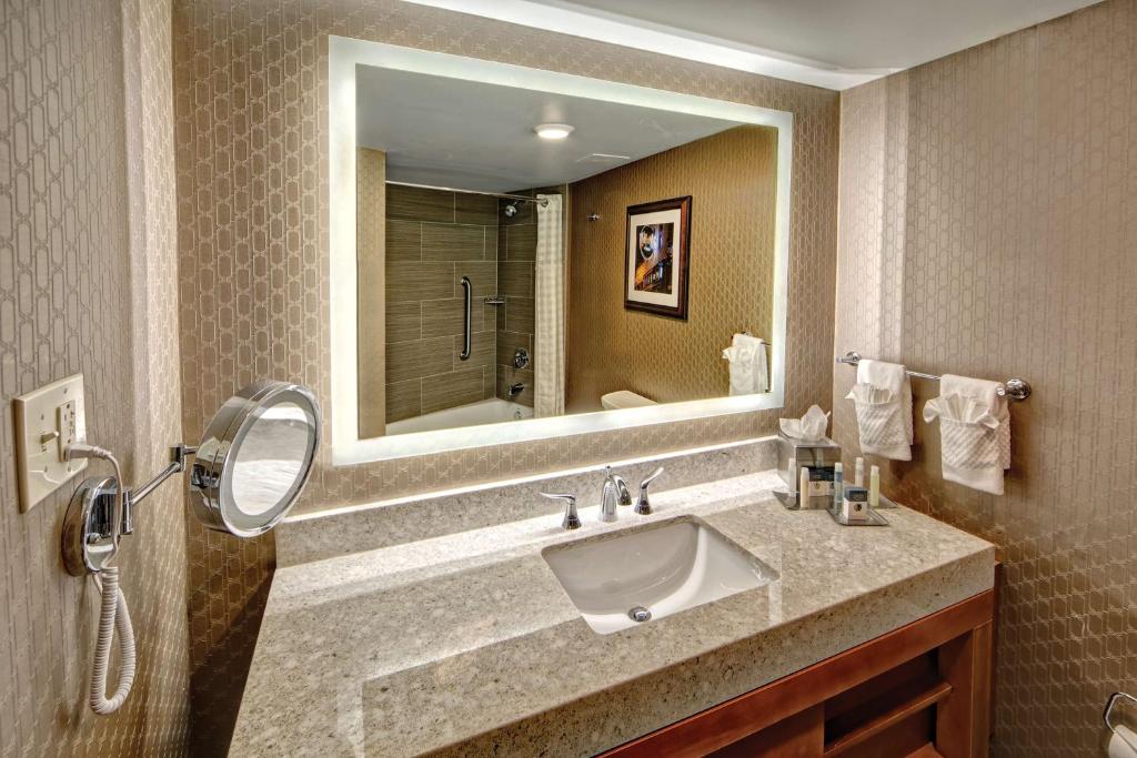 DoubleTree by Hilton Memphis - 少年国王套房配沙发床 - 不吸烟