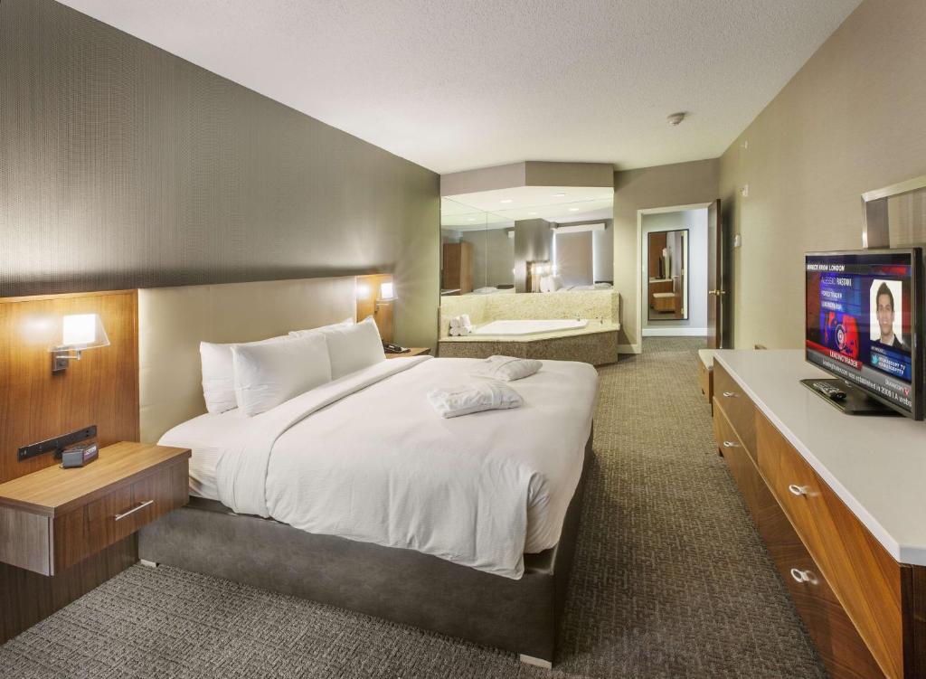TV a/nebo společenská místnost v ubytování DoubleTree by Hilton Nanuet