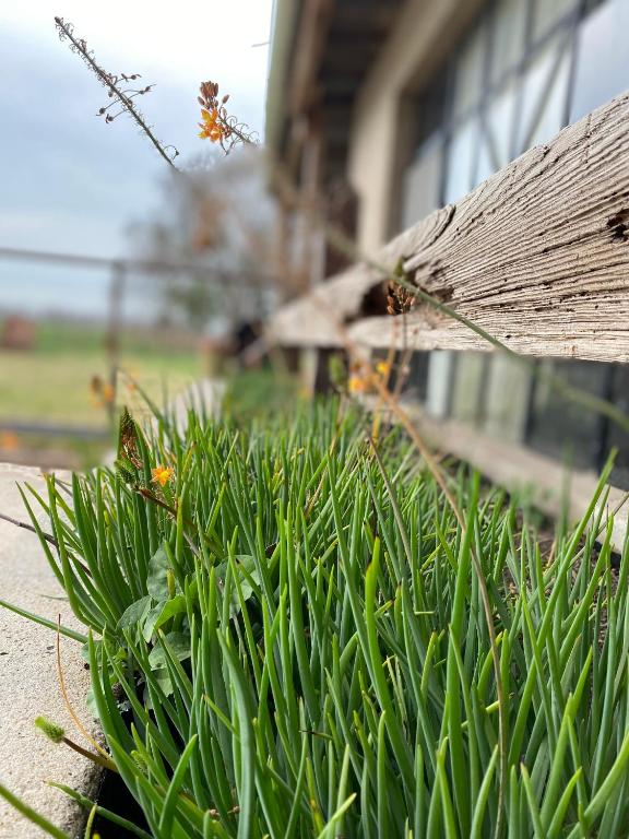 El Tambo - Hospedaje Rural