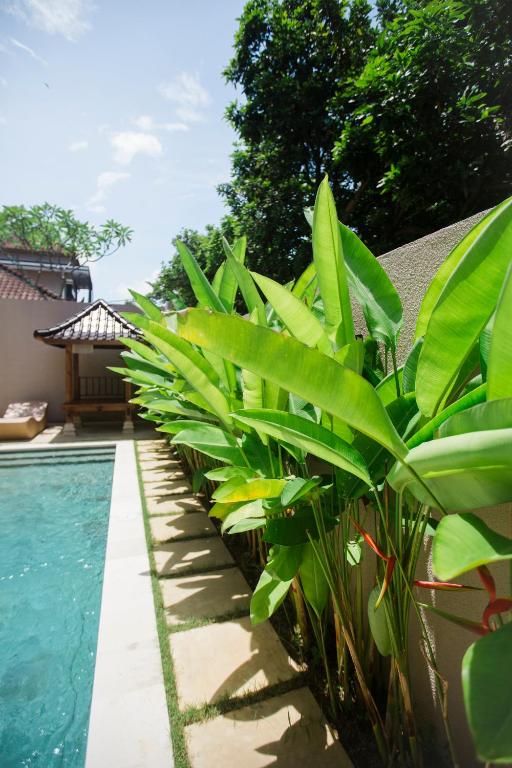 Donguri House Bali - 15