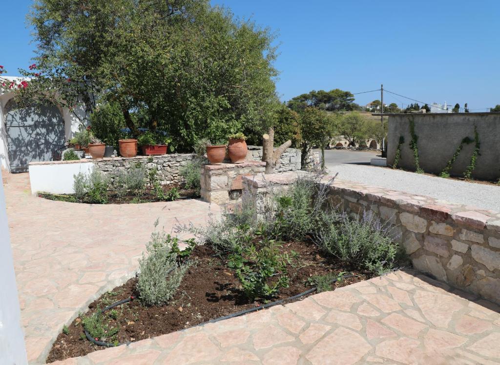 a garden with potted plants and a stone wall at Serendipity Living in Kythira