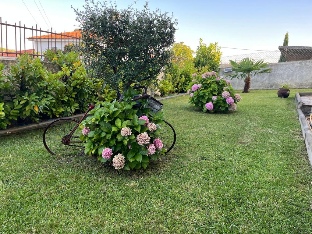 un jardín con un banco con flores en el césped en Chelas Rural AL, en Mirandela