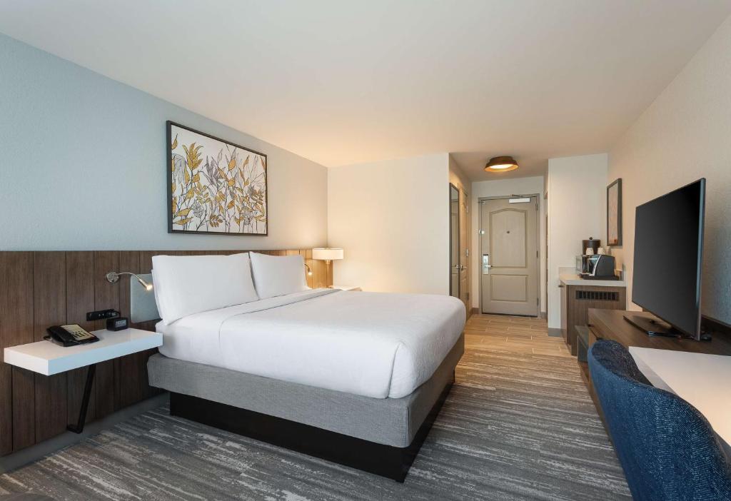 Hilton Garden Inn Melville - King Room - No Fumadores