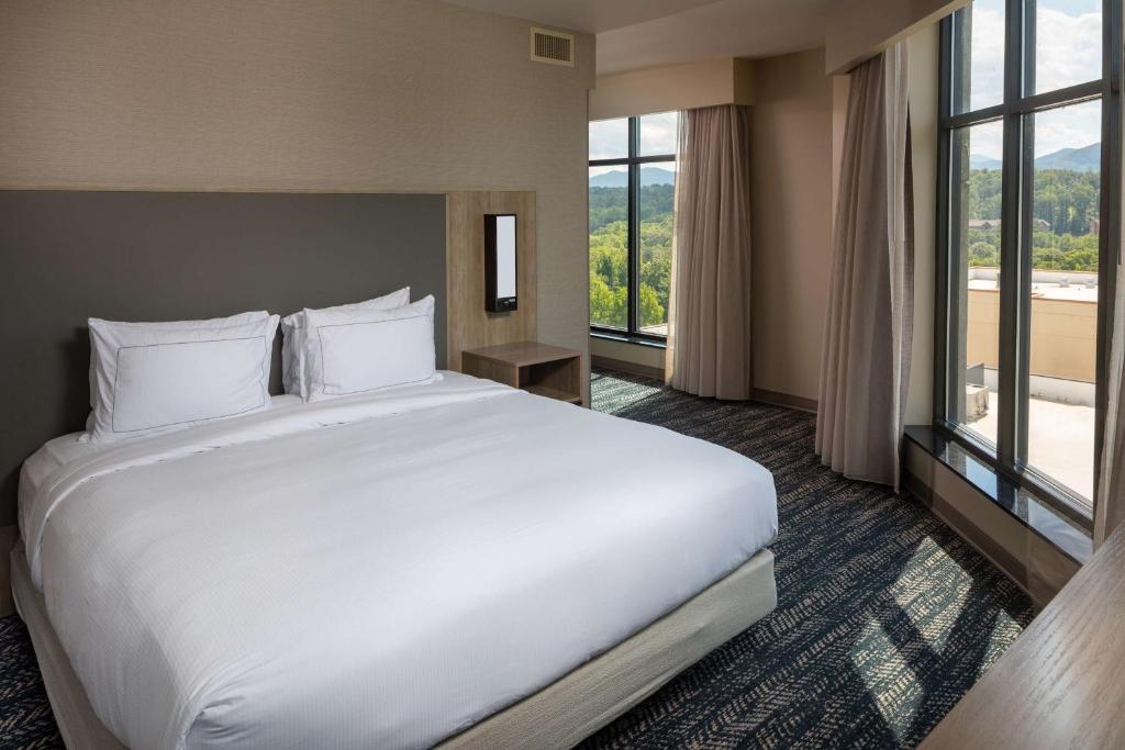 Hilton Asheville Biltmore Park - Junior Suite King Con Sofá Cama