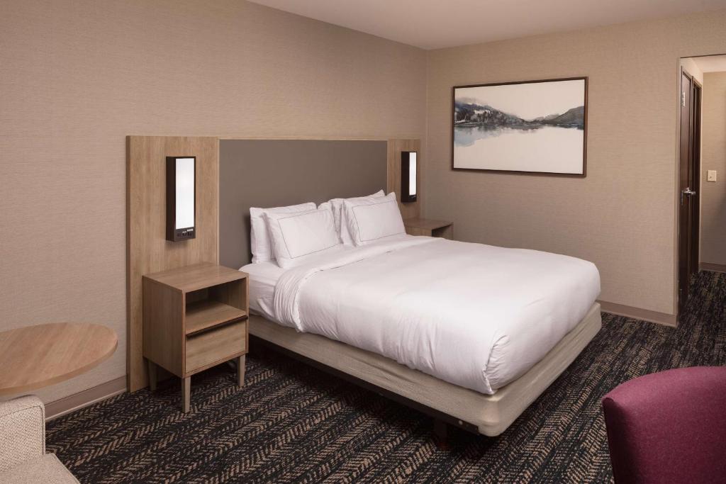 Hilton Asheville Biltmore Park - Habitación King Con Sofá Cama