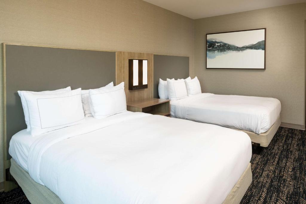 Hilton Asheville Biltmore Park - Quarto Queen Com Duas Camas Queen-size - Vista Rio