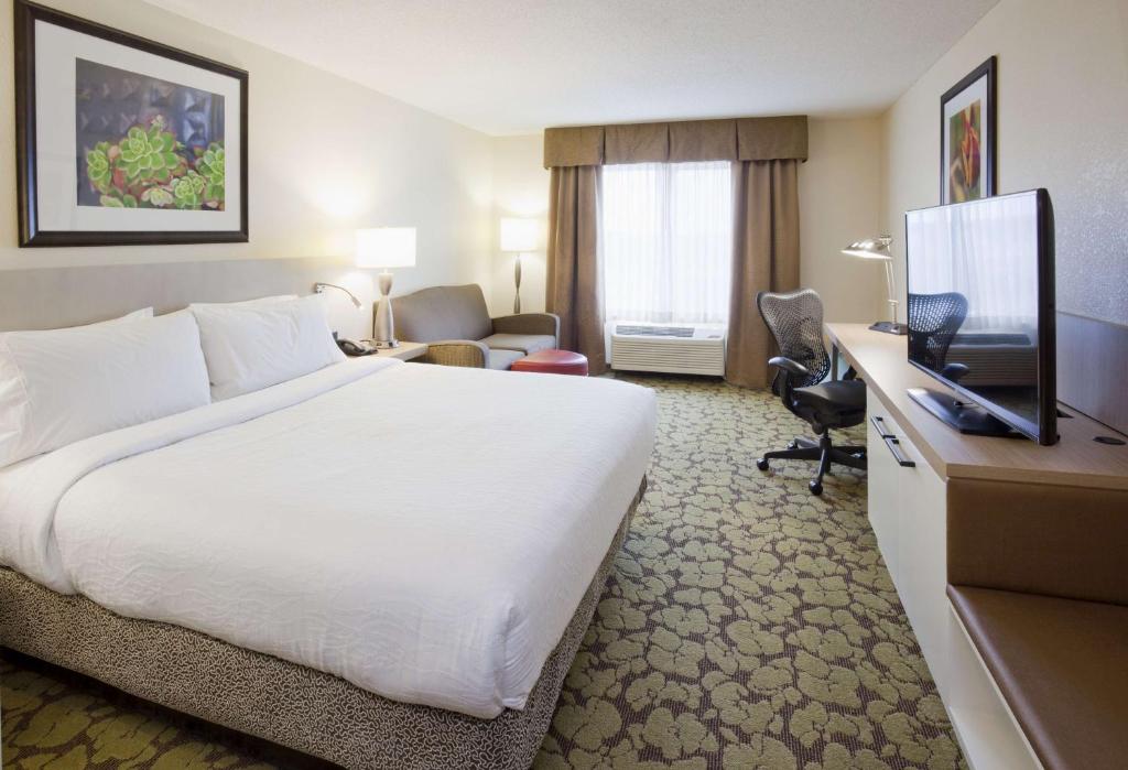 Hilton Garden Inn Minneapolis Eagan - Chambre Roi Avec Canapé-lit - Non-fumeur