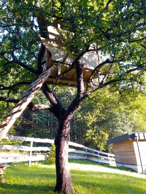 Zahrada ubytování Camping & Glamping Grintovec
