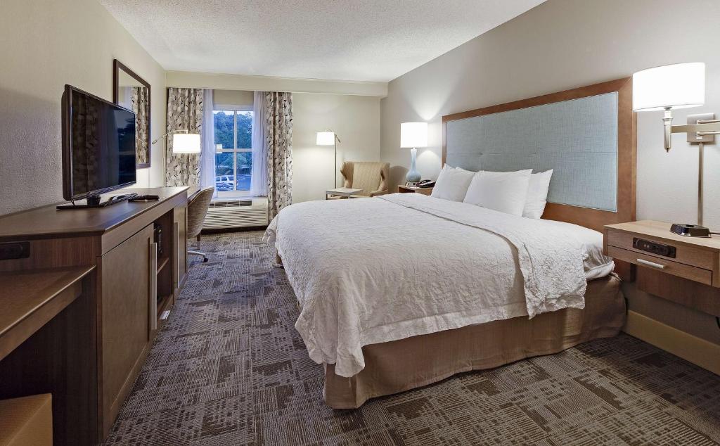 Hampton Inn Myrtle Beach Broadway at the Beach - Chambre King Avec Vue Sur Le Lac - Non-Fumeurs