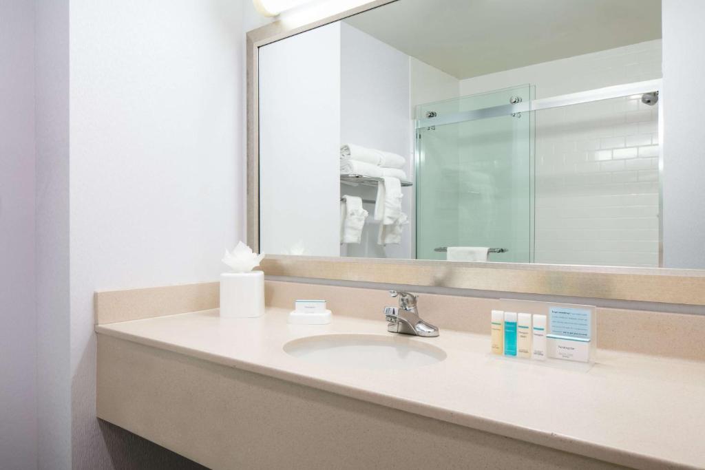a bathroom with a sink and a large mirror at Hampton Inn Council Bluffs in Council Bluffs