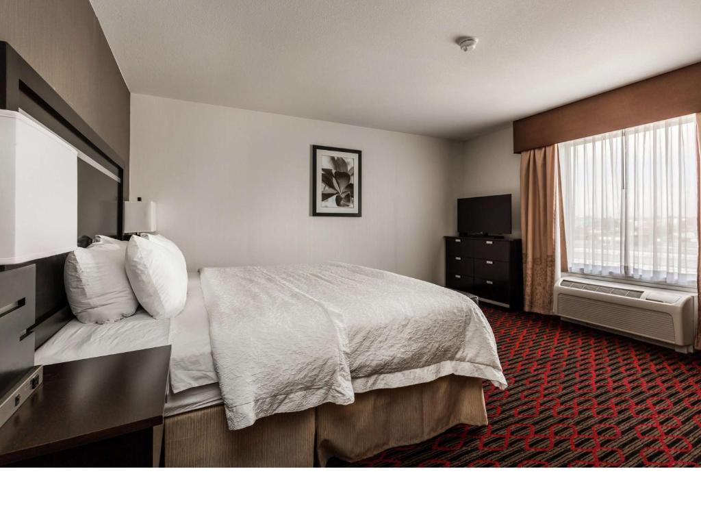 Postel nebo postele na pokoji v ubytování Hampton Inn & Suites by Hilton Lethbridge
