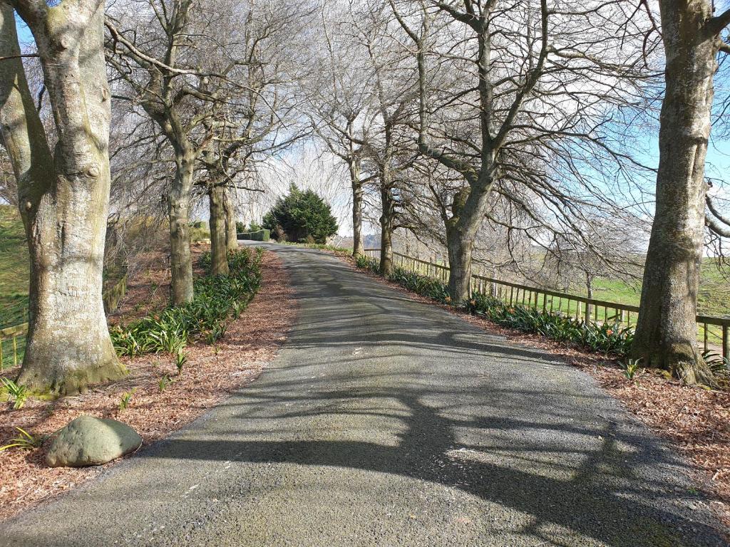 Shargmor Stable - Resim 12