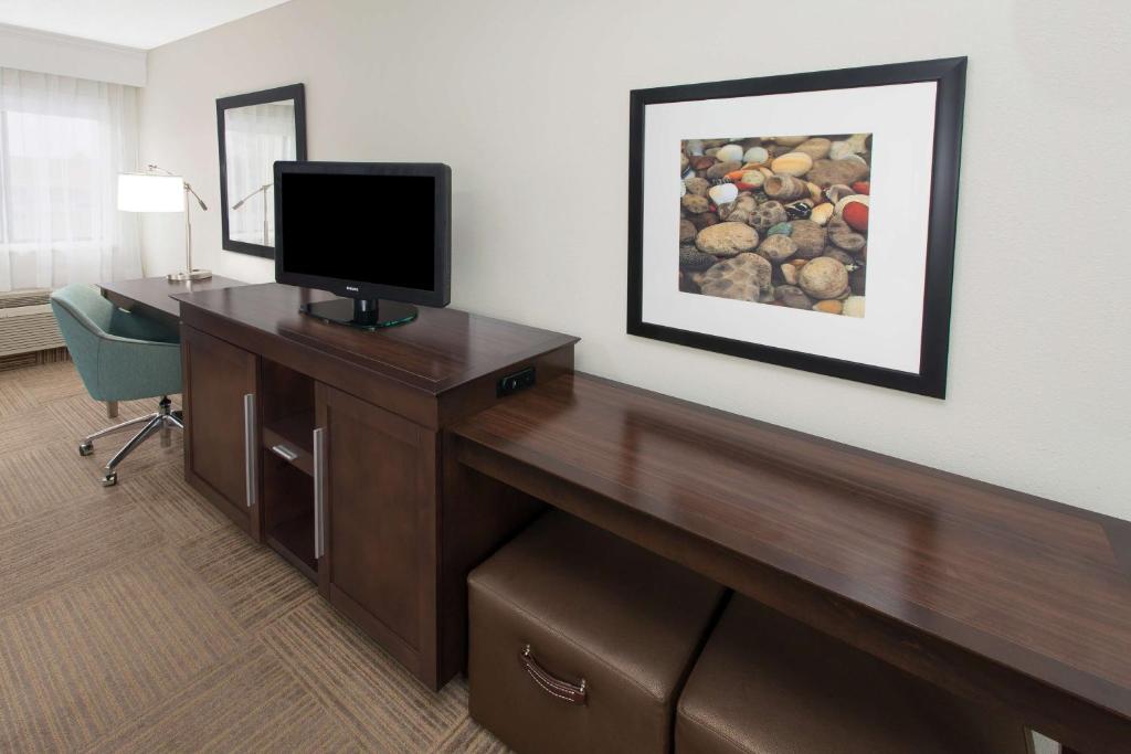 Hampton Inn Birch Run - King Kamer