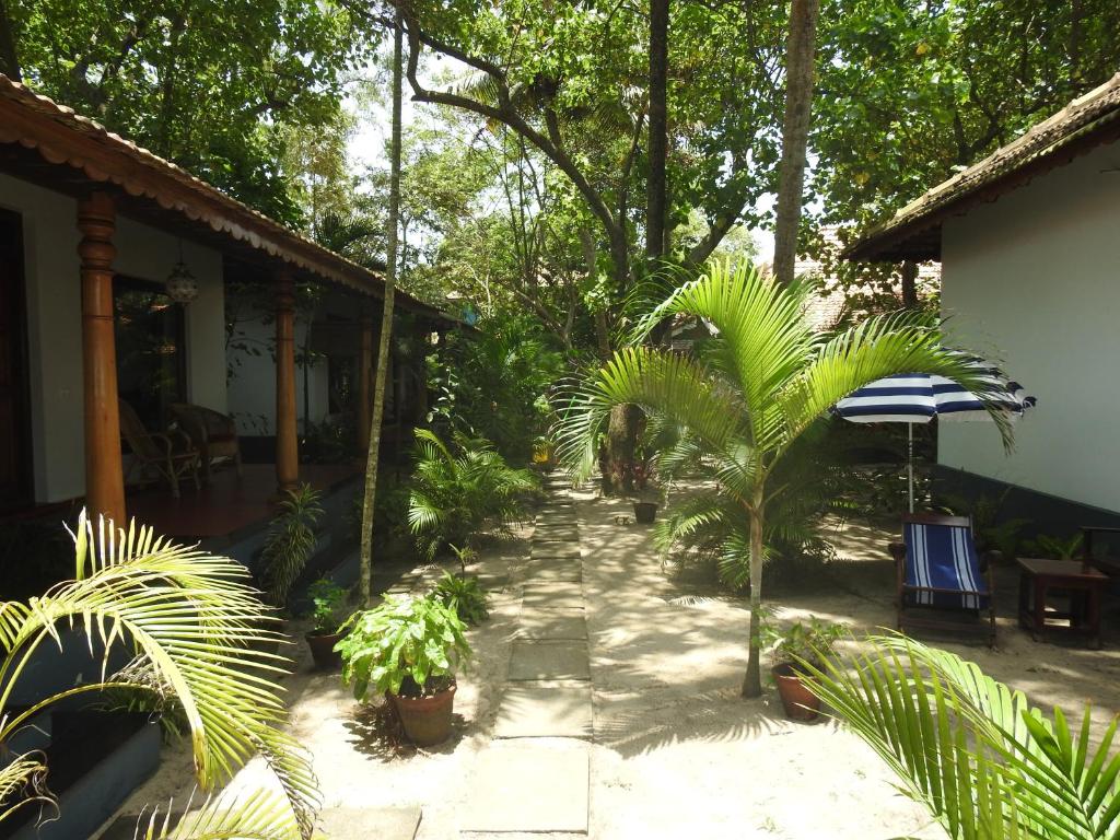 Zahrada ubytování Alleppey Beach Garden