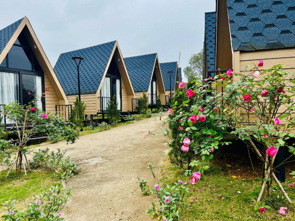 a row of houses with pink roses in front of them at Caofong Glamping Village Hoà Bình in Hòa Bình