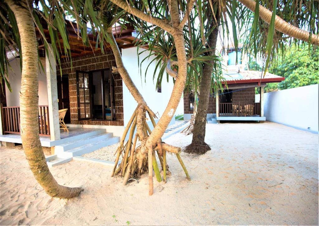 a group of palm trees in front of a building at Sea Shell Villa Hikkaduwa 2 Separate Cabanas Ocean Front Villa in Hikkaduwa