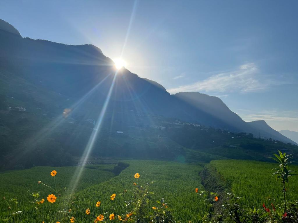 un campo con el sol brillando en una montaña en Tavanparadise homestay en Sa Pả