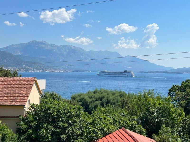 a cruise ship on the water with mountains in the background at Serena in Bijela