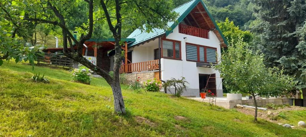 a house on a hill with a tree in the foreground at Aura natura in Visoko