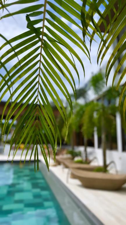 Bazén v ubytování Ahana Resort El Nido nebo v jeho okolí