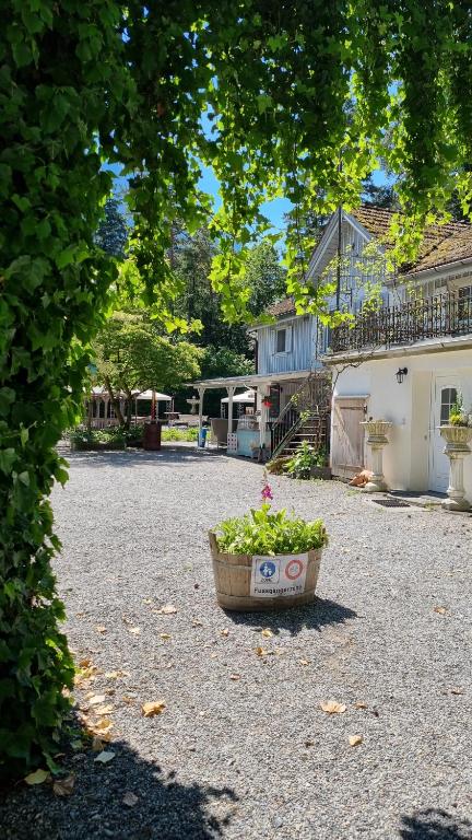 a pot of flowers sitting in the middle of a yard at Treffpunkt Heuwiese in Weite