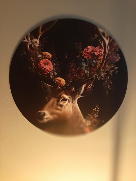 Fotografie z fotogalerie ubytování Grutsk op 12 v destinaci Drachten