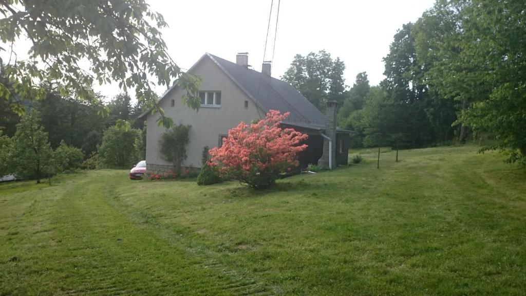 ein weißes Haus mit einem roten Baum im Hof in der Unterkunft Chalupa Maruška in Čeladná