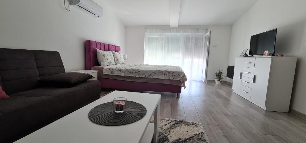 a living room with a couch and a bed at Studio apartmani Banja Koviljaca in Banja Koviljača