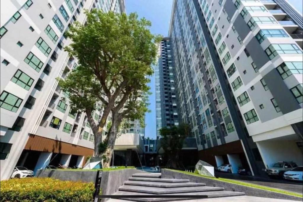 a tree in front of two tall buildings at the base 网红公寓 市中心核心区顶层无边泳池俯瞰整个芭堤雅海湾 in Pattaya