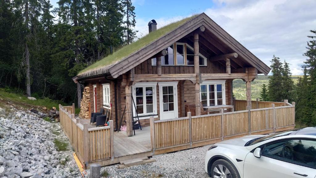 uma pequena cabana de madeira com telhado de relva em Ny tømmerhytte em Tveiten