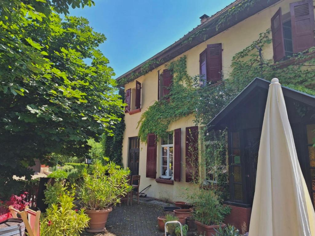 Zahrada ubytování Chambres d'Hôtes Le Felseneck
