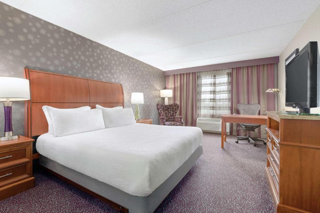Hilton Garden Inn Springfield, MA photo