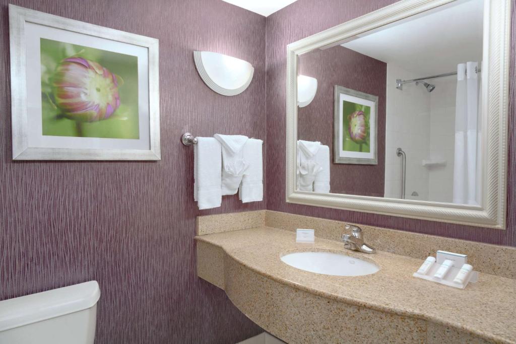 Hilton Garden Inn Springfield, MA photo