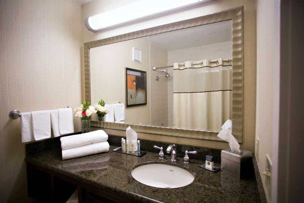 DoubleTree by Hilton Minneapolis Park Place - Chambre Reine