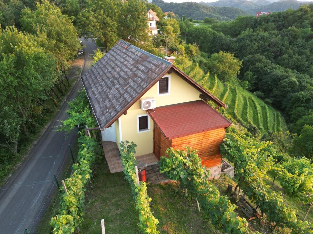 Adorable guesthouse in the middle of vineyards, Ptujska Gora – aktualne  ceny na rok 2023