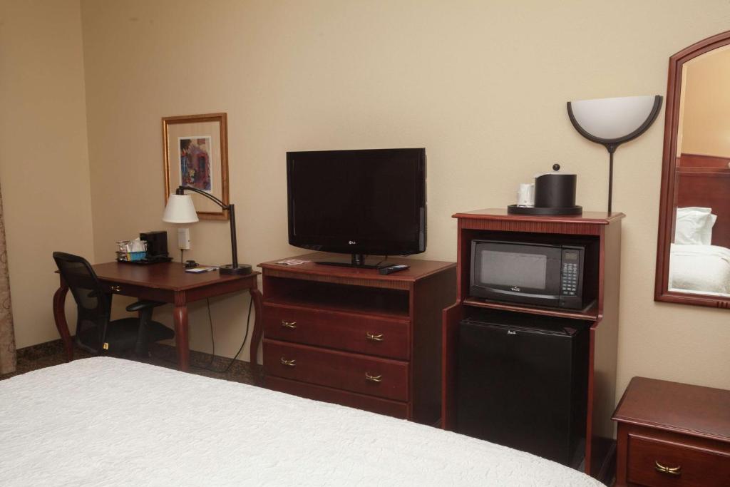 TV a/nebo společenská místnost v ubytování Hampton Inn Oneonta