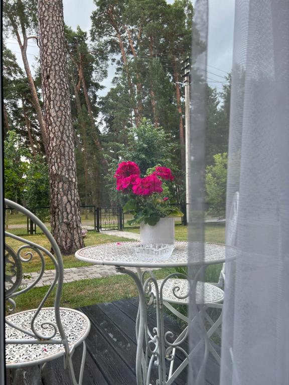 Zahrada ubytování Kulautuva Park Apartments