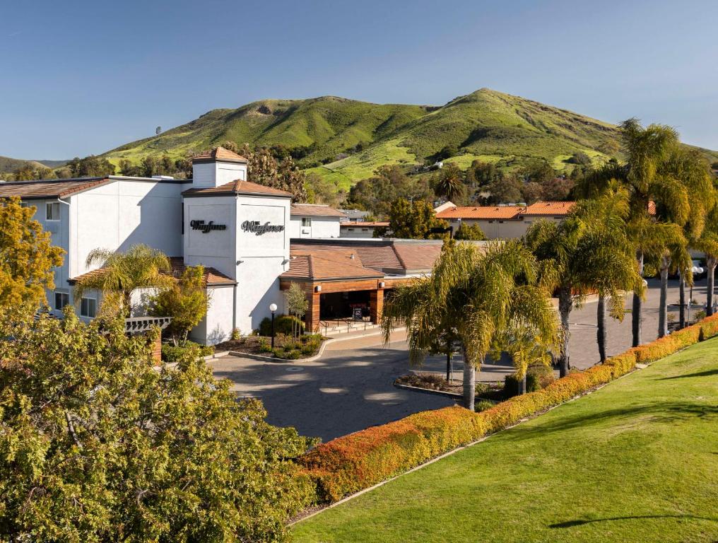 eine Stadt mit Palmen und einem Berg im Hintergrund in der Unterkunft The Wayfarer San Luis Obispo, Tapestry Collection by Hilton in San Luis Obispo