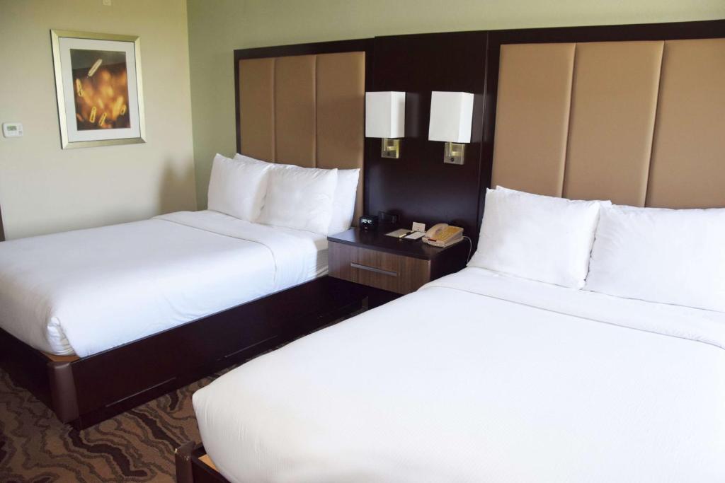 DoubleTree by Hilton Montgomery Downtown - Suite Mit Zwei Doppelbetten Und Küche