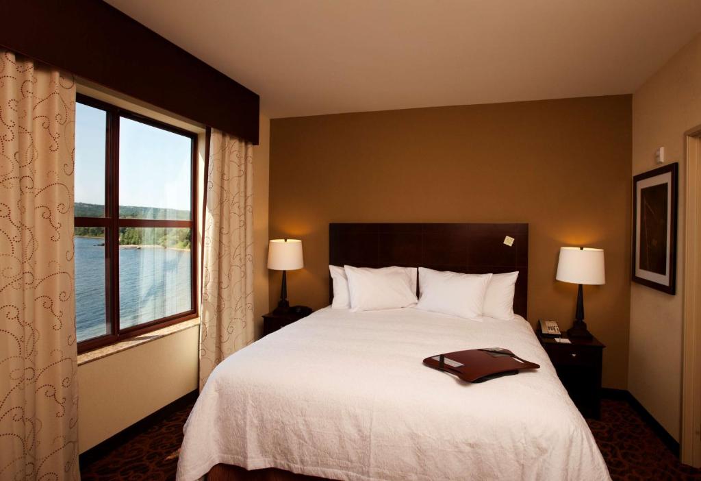 Hampton Inn Marquette-Waterfront - Suite King De Una Habitación-No Fumadores