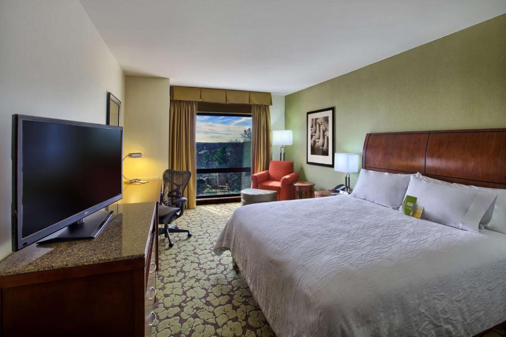 Hilton Garden Inn Durham-University Medical Center - Habitación Deluxe Con Cama Extragrande