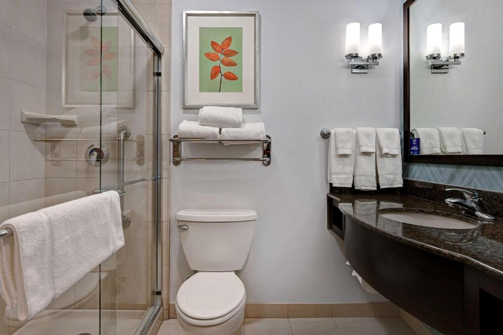 Hilton Garden Inn San Bernardino - Chambre Lit King-Size Avec Bain à Remous