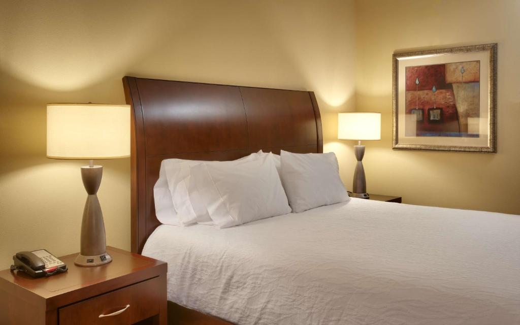 Hilton Garden Inn Clarksville - King Room