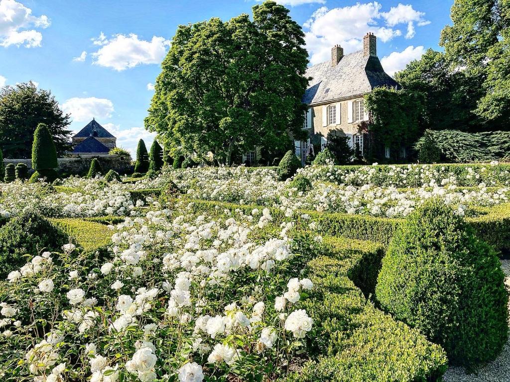 un giardino con fiori bianchi di fronte a una casa di Maison d'hôtes et gîte en Sarthe a Saint-Christophe-en-Champagne