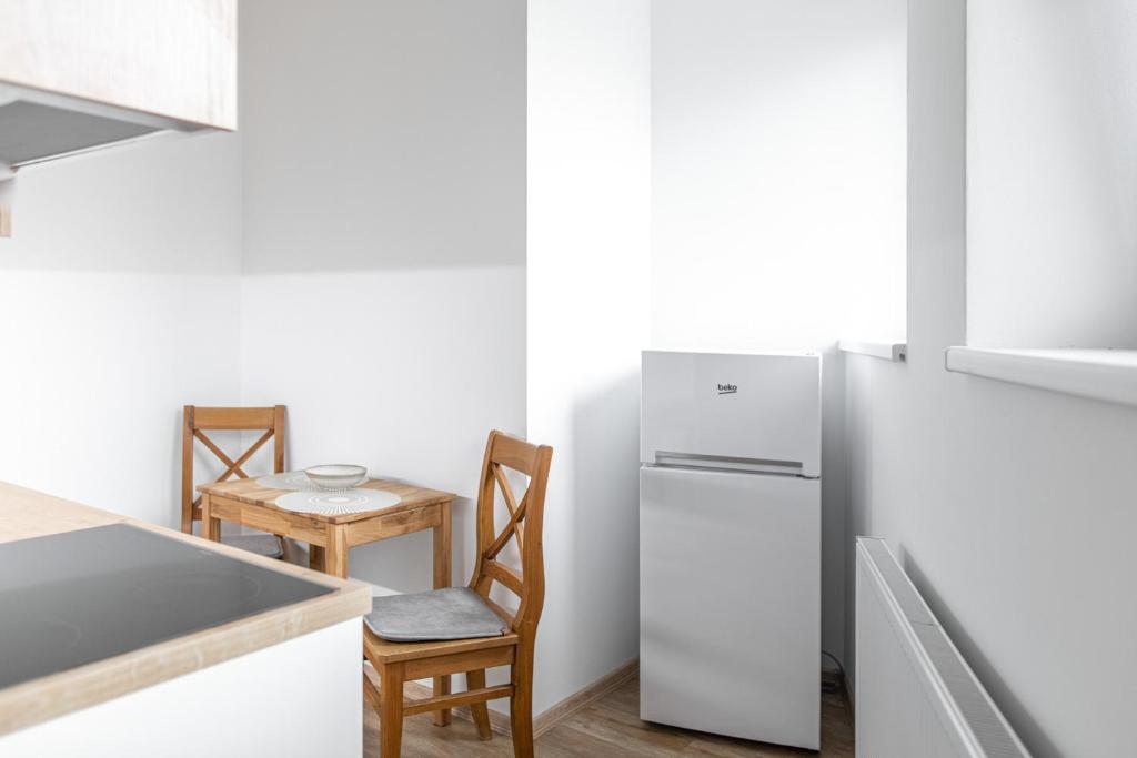 Kuchyň nebo kuchyňský kout v ubytování Samoobslužné Apartmány Evičenstvo