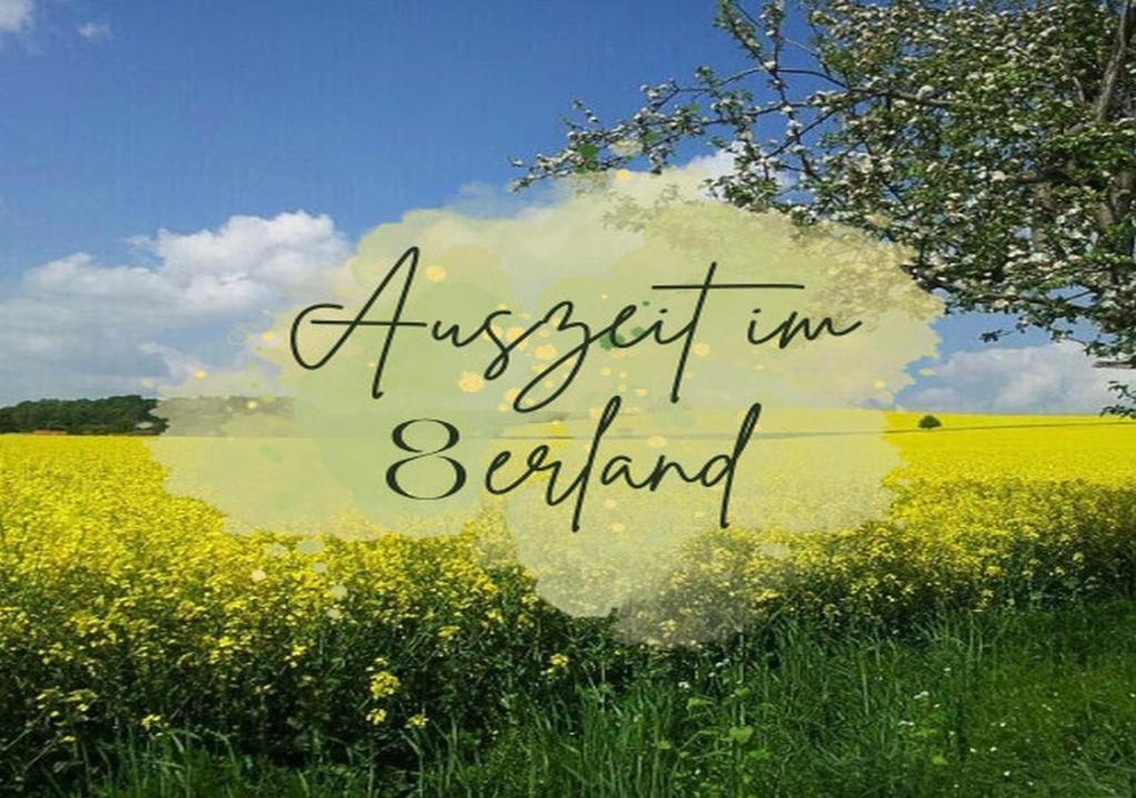 a field of yellow flowers with the words expect into expand at Auszeit im 8erland in Rankwitz