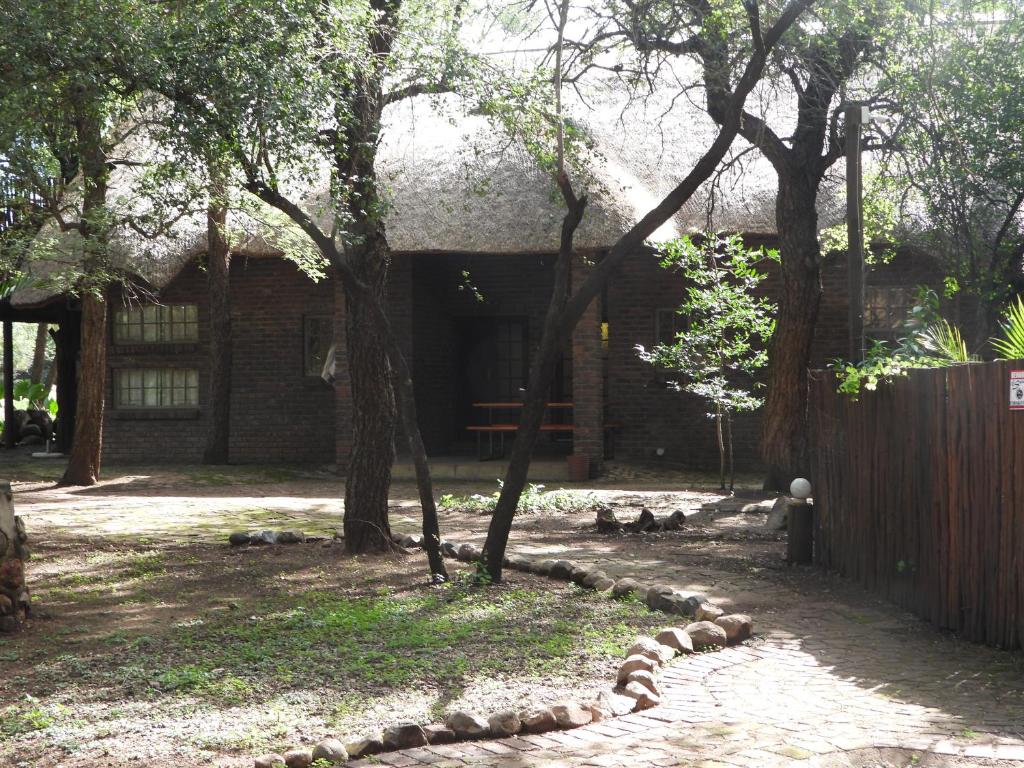 a group of birds sitting in front of a building at African Kruger Lodge in Marloth Park