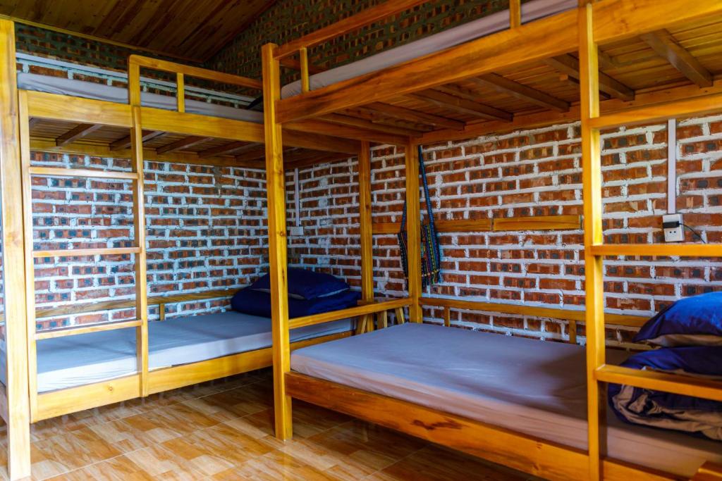 The Link farmstay - Bunk Bed In Mixed Dormitory Room