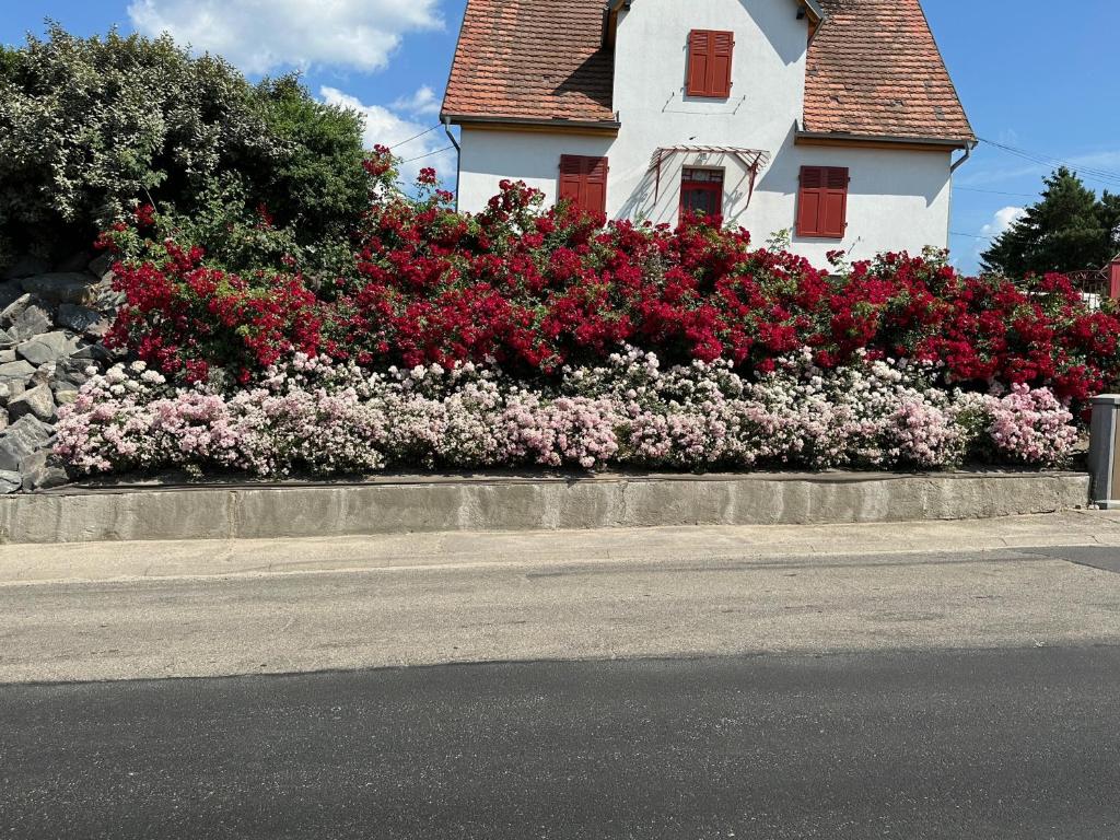 a house with flowers on the side of a street at Au parfum des roses in Gunstett
